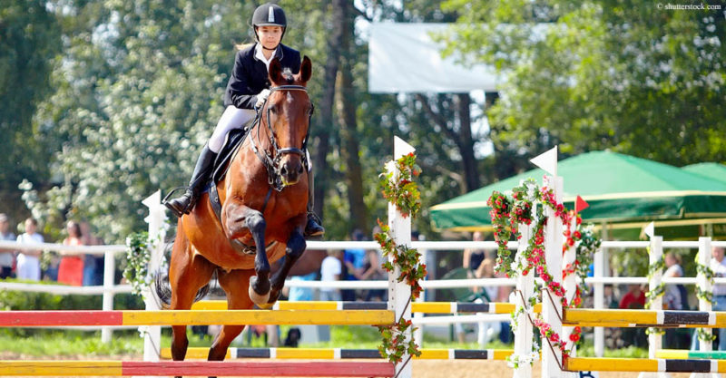 Internationales Reitturnier Luhmühlen, 21394 Westergellersen